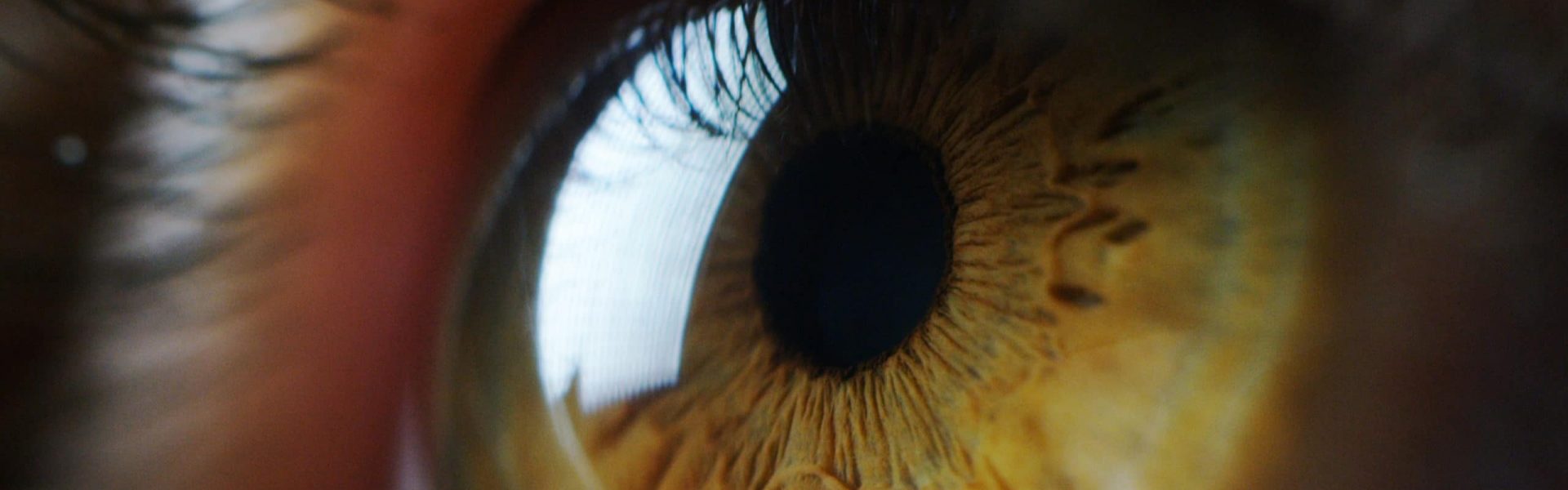 Eye close-up